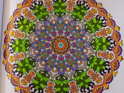 whatsapp bild 2024-07-22 um 13.26.51_3056954e